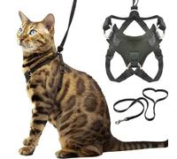Houdini™ - Set di pettorina e guinzaglio per gatti grandi (resistente all'estese) di OutdoorBengal per camminare con grandi felini (L)