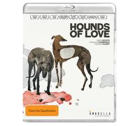 Hounds of Love