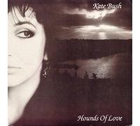 Hounds Of Love