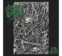 House By the Cemetery Rise of the Rotten (Vinyl LP) 12" Album