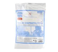 House Collection HSC1557 - Telo copritutto, Tinteggiatura ristrutturazione, Nylon polietilene, Trasparente, 4 x 4 metri