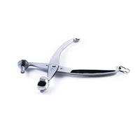 House Collection, Snocciola Ciliegie e Olive, alluminio cromato, 13 cm