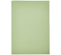 Casa di carta e carta di carta colorata, formato A4, 220 g/mq, colore: verde pastello (Confezione da 100 fogli)