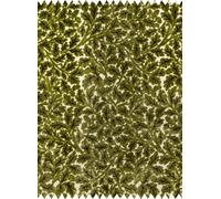 House of Hackney Tessuto Quercus - Velvet Jacquard - Evergreen