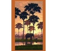 House Sitting Guide: Tips, Checklists, and Best Practices