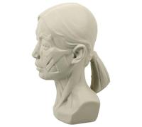 Housoutil Modelli per Esercizi di Schizzi di Sculture Strumenti Didattici per Disegnare Forme e Figure Realistiche per Aule e Istituti di Apprendimento Artistico