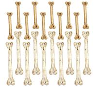 Housoutil Ossa Finte Decorative per Halloween in Plastica, 20 Pezzi | Due Dimensioni Assortite, Foro Preforato per Collane e Luci, Effetto Realistico per Stanze e Ghirlande
