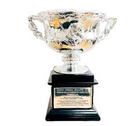 Housunzi Replica del Trofeo dei Campioni del Maschile degli Australian Open Trofei del Campionato Brookes Challenge Cup Souvenir per Gli Appassionati di Tennis Decorazioni per Ufficio