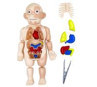 HoveeLuty Modello del Corpo Umano per Bambini Giocattoli anatomici Fai da Te Giocattoli del Corpo Umano con organi Interni e Arti scientifici anatomici per Bambini educativi per l'app