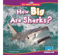How Big Are Sharks?