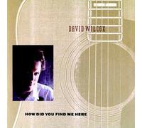 How Did You Find Me Here by David Wilcox