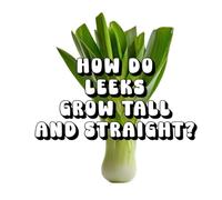 How Do Leeks Grow Tall and Straight?