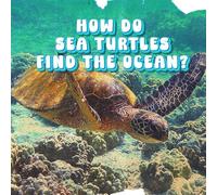 How Do Sea Turtles Find the Ocean?