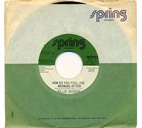 How Do You Feel The Morning After/In The Wash (VG+ 45 rpm)