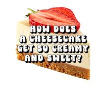 How Does a Cheesecake Get So Creamy and Sweet?