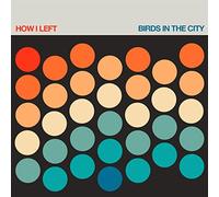 How I Left - Birds in the City