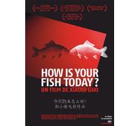 How is your fish today ?