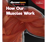 How Our Muscles Work