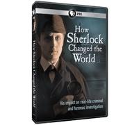 How Sherlock Changed the World