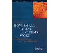 Yair Neuman How Small Social Systems Work (Tascabile) Frontiers Collection