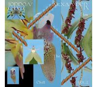 how the dogs chill vol. 2