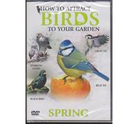 How to attract birds - Spring