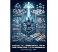 How to fix the company before it('s) broke: The IT Organization Efficiency Framework