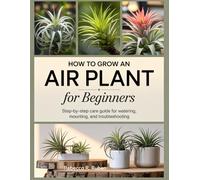HOW TO GROW AN AIR PLANT FOR BEGINNERS: Step-by-Step Care Guide for Watering, Mounting, and Troubleshooting