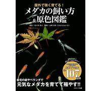 How to Keep Killifish Medaka Strong Outdoor Original Color Illustrate Book Japan