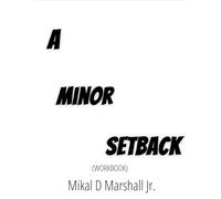 How To Recover From A Minor Setback: Workbook