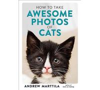 How to Take Awesome Photos of Cats