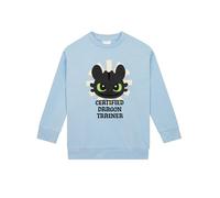 How To Train Your Dragon , Felpa Bambina, Maglione Ragazza Sdentato, Felpa Ragazza Primavera Dragon Trainer, Abbigliamento Bambina Cotone, Blu 8-9 Anni