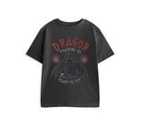 How to Train Your Dragon Grigio Training 101 T-shirt a maniche corte Ragazzi
