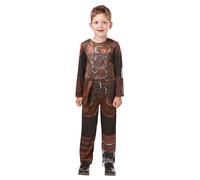 How To Train Your Dragon: The Hidden WorldRagazzi Hiccup Costume (BN4857)