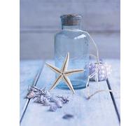 Howard Shooter Stampa su Tela Seaside Treasure Digital, Cotone, Multicolore, 40 X 50 cm