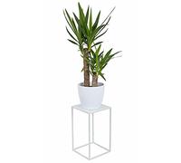 HowHomely - Sgabello per fiori in metallo bianco, altezza 40 cm - Sgabello per piante solido e robusto in metallo - Supporto per piante per la decorazione del soggiorno, camera da letto o ufficio