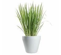 HowHomely Vaso per piante, bianco, 40 x 40 x 35 cm, per esterni, resistente al gelo, classico, utilizzabile tutto l'anno