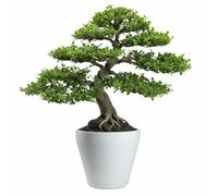 HowHomely Vaso per piante, bianco, 61 x 61 x 57 cm, resistente al gelo, classico, utilizzabile tutto l'anno