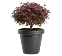 HowHomely Vaso per piante, grigio, 46 x 46 x 40 cm, con struttura resistente al gelo, classico, per giardino, terrazza, tutto l'anno