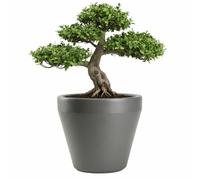 HowHomely Vaso per piante, grigio, 61 x 61 x 57 cm, resistente al gelo, classico, utilizzabile tutto l'anno