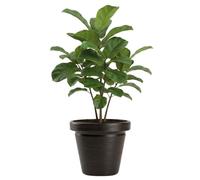 HowHomely Vaso per piante, marrone, 46 x 46 x 40 cm, con struttura resistente al gelo, classico, per giardino, terrazza tutto l'anno