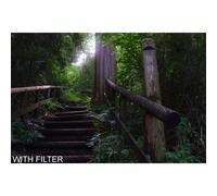 HOYA Filtro diffusore black mist no 0.5 - 72 mm
