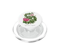 Hoya Hindu Rope pianta illustrazione Hoya carnosa 'Compacta' PopSockets PopGrip per MagSafe