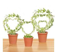 Hoya - Set di tralicci di 3 dimensioni per piante da interno, supporto per fiori, rotondi o a forma di cuore, in metallo, accessori da giardino, accessori per piccole piante rampicanti in vaso