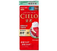 Hoyu Cielo Ex Kit Per Colorare I Capelli Crema One Push 3Ma Menta Cenere Nuovo