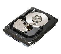 HP 450 GB SAS 15000RPM 450 GB SAS - FESTPLATTE (SAS, Server/Arbeitsstation)