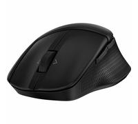 HP 685 Comfort Dual-Mode Mouse per lavoro - Wireless - 10.0 m - Bluetooth - Ricaricabile - Nero - USB Tipo A - 1200 dpi - Rotella di scorrimento, 4 vie di scorrimento - 7 Pulsanti - 6 Pulsanti