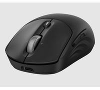 HP 705 Rechargeable Wireless Mouse ENG