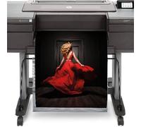 HP DesignJet Z9+ 24 (W3Z71A) contattaci per installazione on site