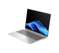 HP EliteBook 6 G1a AMD Ryzen 7 250 WUXGA・Notebook・1.000 GB・Notebook・(AD3K1ET#ABD) (EAN: 0199251511318)